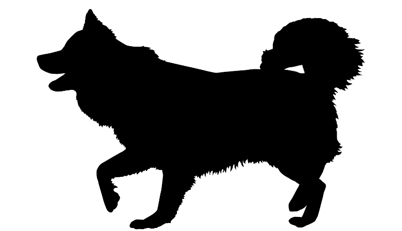 Siluetten är av finska lapphunden Äsco